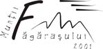 Fagaraš 2001