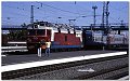 Altaj II 2012 162