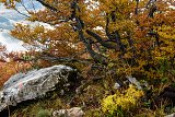 Bosna a Hercegovina 2018 32