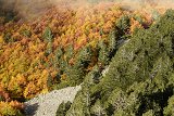 Bosna a Hercegovina 2018 34