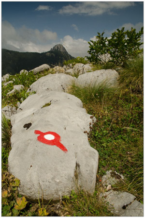 Černá Hora 2016 81