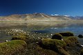 Ladakh 2015 61