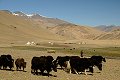 Ladakh 2015 70