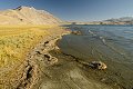 Ladakh 2015 90
