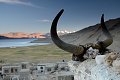 Ladakh 2015 103