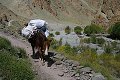 Ladakh 2015 125