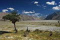 Ladakh 2015 138