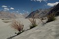 Ladakh 2015 142