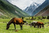 Kyrgyzstán 2019 15