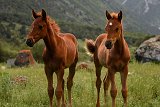 Kyrgyzstán 2019 26