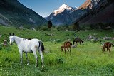 Kyrgyzstán 2019 29