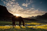 Kyrgyzstán 2019 115
