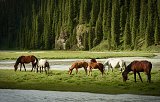Kyrgyzstán 2019 120