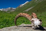 Kyrgyzstán 2019 125