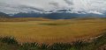 Peru 2017 33