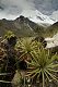 Peru 2017 116