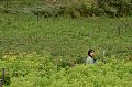 Peru 2017 139